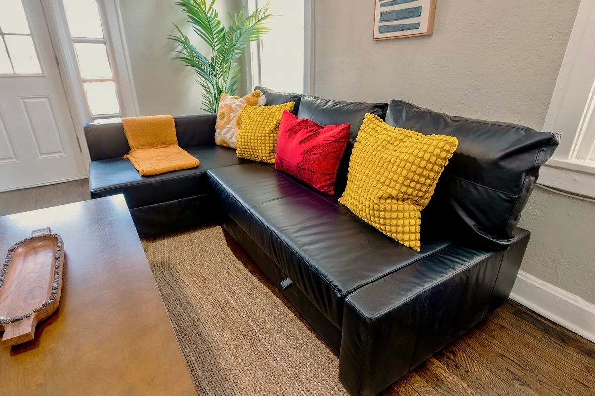 A welcoming living area featuring a black leather couch adorned with colorful throw pillows, a wooden coffee table, and an indoor plant. The space feels comfortable and inviting, ideal for relaxing after a stroll with your pet.